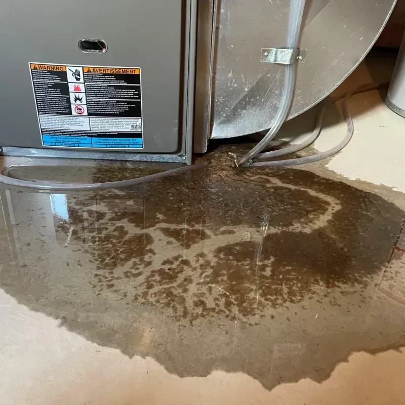 Appliance Leak Cleanup in Medulla, FL